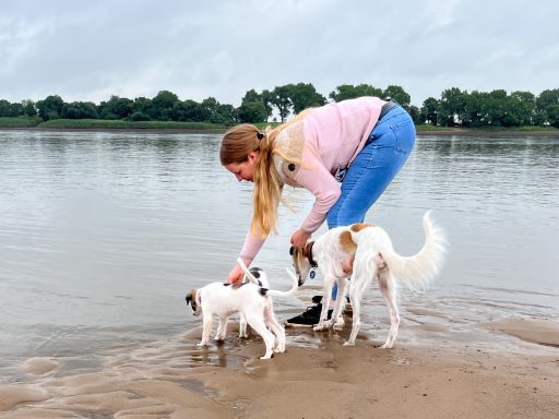 Eine Person mit blonden Haaren kniet am Ufer und streichelt zwei Hunde.