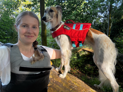 Jun 2026 Eine Person mit Weste posiert neben einem stehenden Hund in einem roten Geschirr im Wald.
