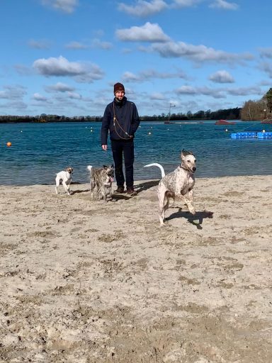 Ein Mann steht am Strand mit drei Hunden, von denen einer springt.