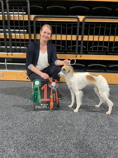 Eine Person kniet neben einem Hund mit zwei Sieger-Pokalen.