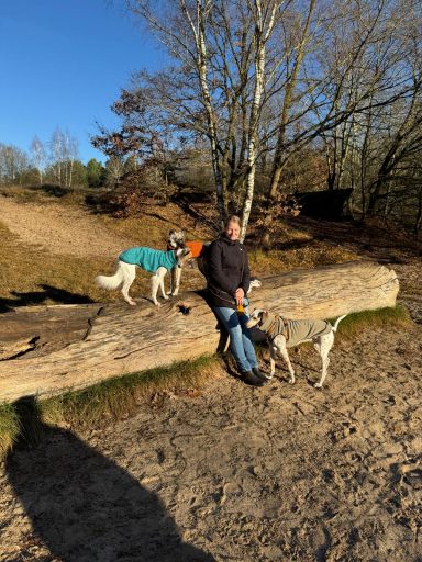 Eine Person mit zwei Hunden steht auf einem Baumstamm in einem Park.