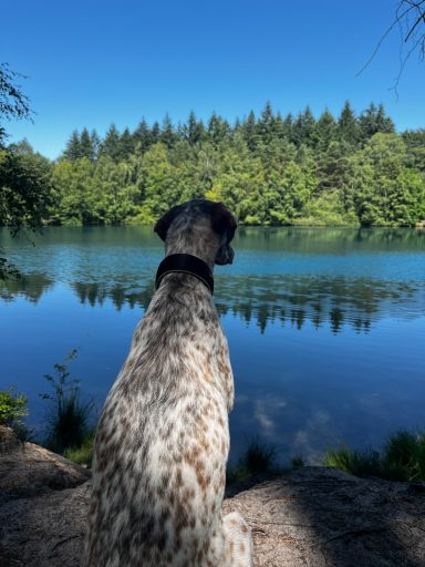 Sunny sitzt am Ufer eines klaren Sees, betrachtet die umliegende Natur.